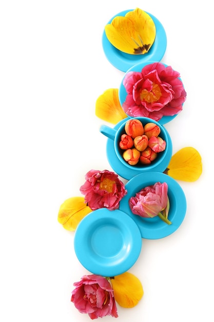 kolorowe talerze z jedzeniem